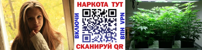 Сколько стоит Краснознаменск А ПВП  Бошки Шишки  МЕФ  ГАШИШ 